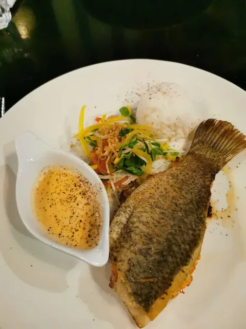 Fish at The Rocks