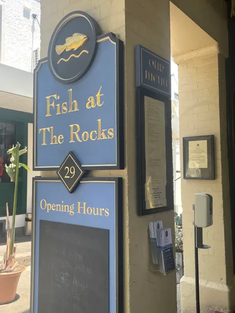 Fish at The Rocks