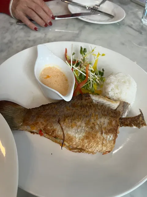 Fish at The Rocks