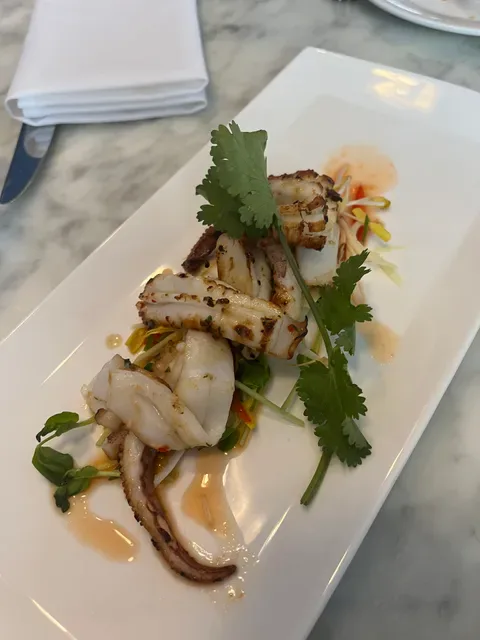 Fish at The Rocks