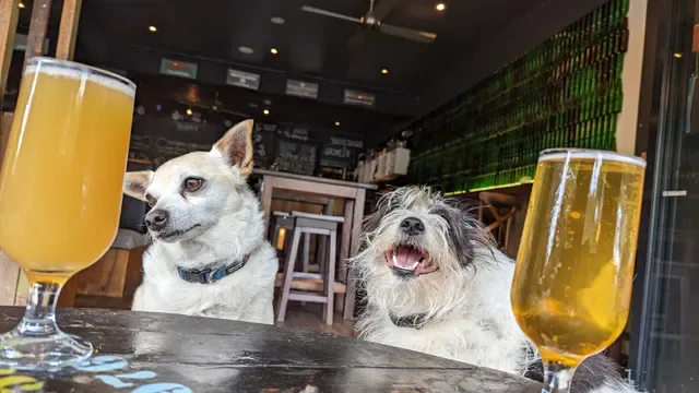 Flat Rock Brew Cafe