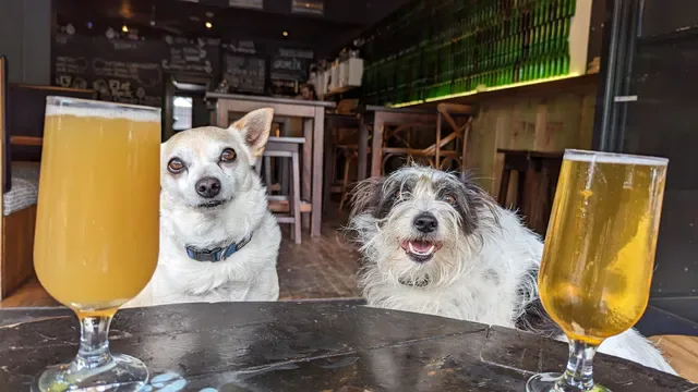 Flat Rock Brew Cafe