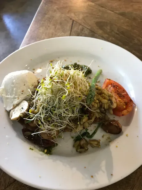 Kana Sushi East Ryde & Fox and Bird Cafe