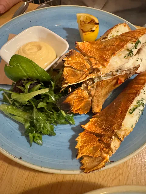 Garfish Manly