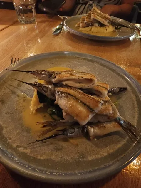 Garfish Crows Nest