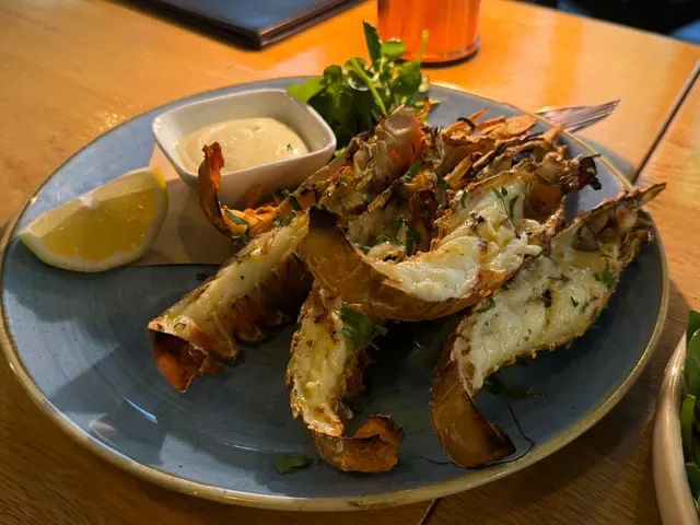 Garfish Crows Nest