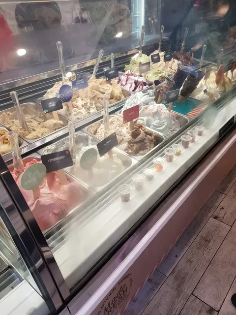 Gelatissimo Kirribilli