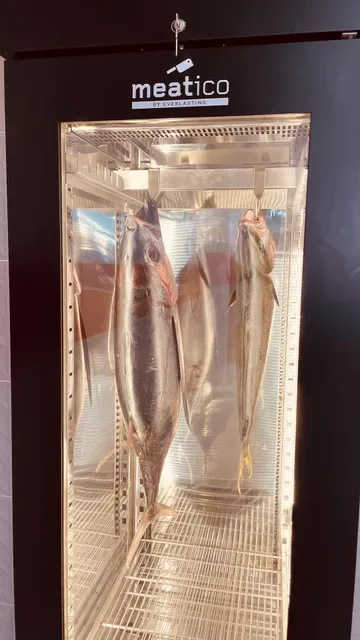 Get Sashimi Bondi