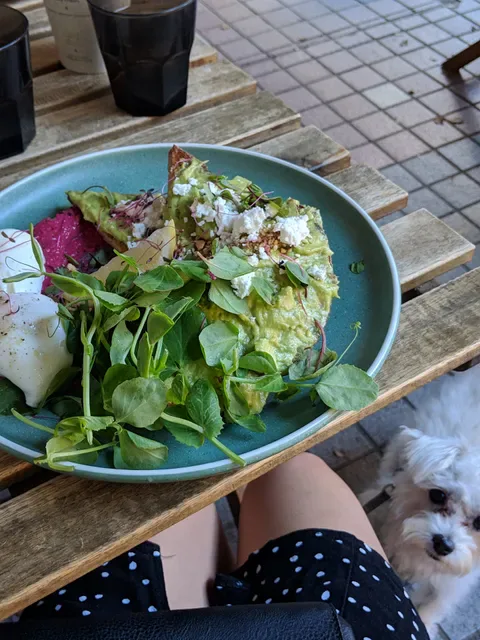 Girdlers Café - Manly