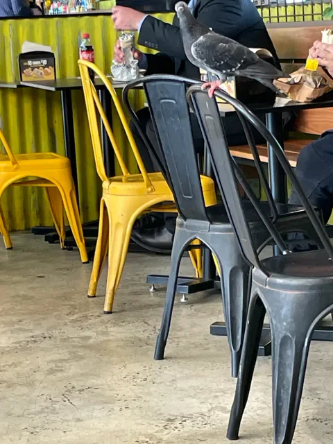 Guzman y Gomez - Chatswood