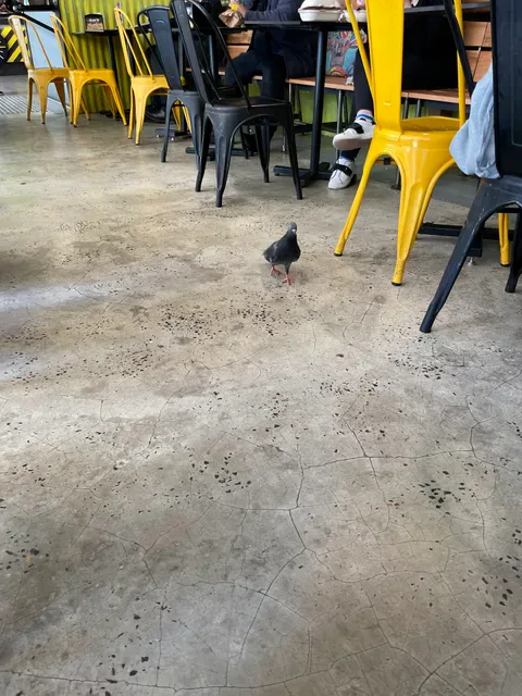 Guzman y Gomez - Chatswood