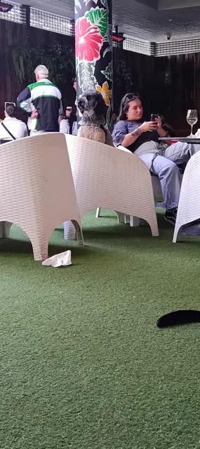 Gymea Hotel
