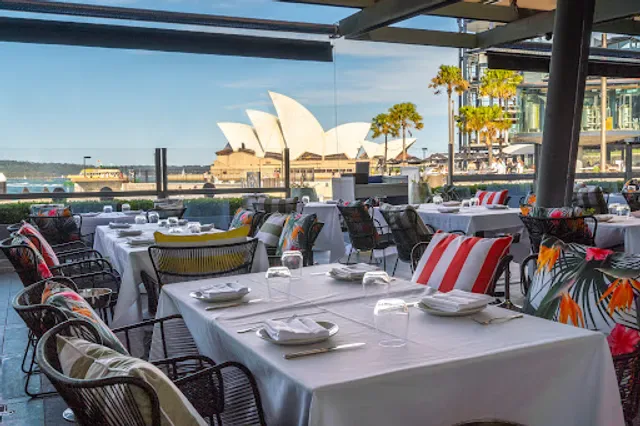 Harbourfront Seafood Restaurant Sydney The Rocks