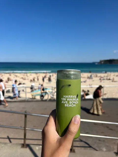 Harrys Bondi