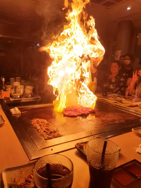 Hayashi Teppanyaki Restaurant