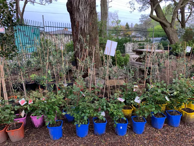 House of Herbs & Roses