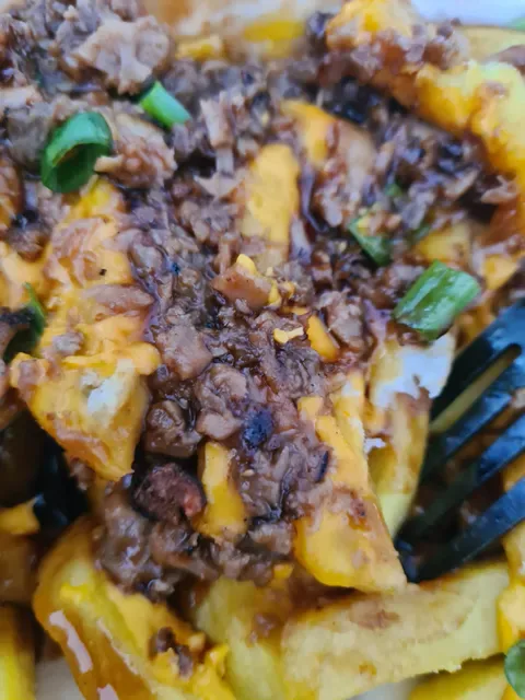 House Of Loaded Fries