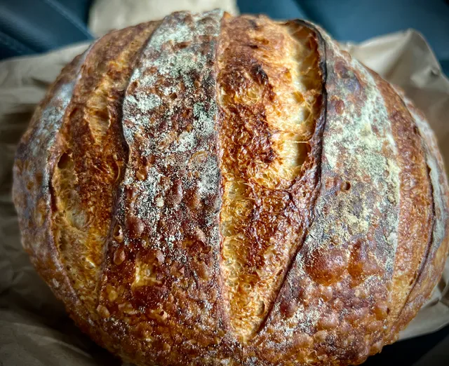 Iggy's Bread