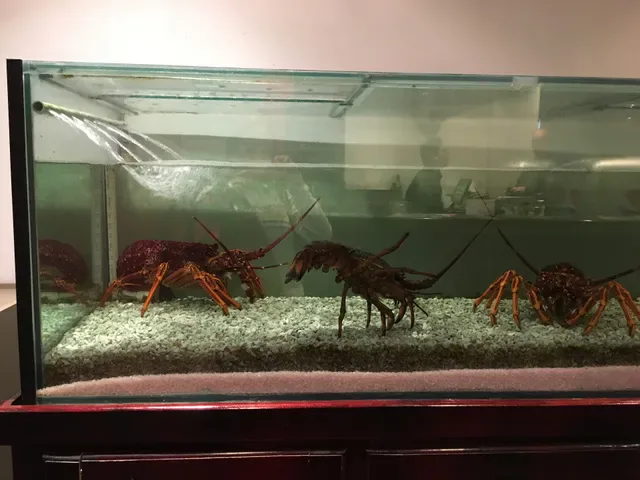 Illawong Chinese & Seafood Restaurant