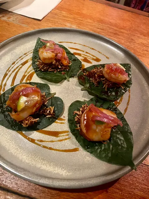 Infuzions Cammeray