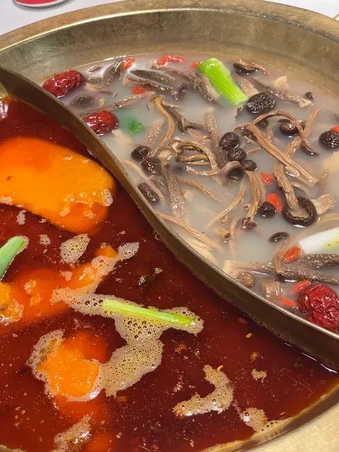 Jiu Long Ding Chongqing Hot Pot 九龙鼎火锅