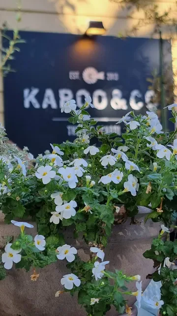 Karoo & Co The Old School