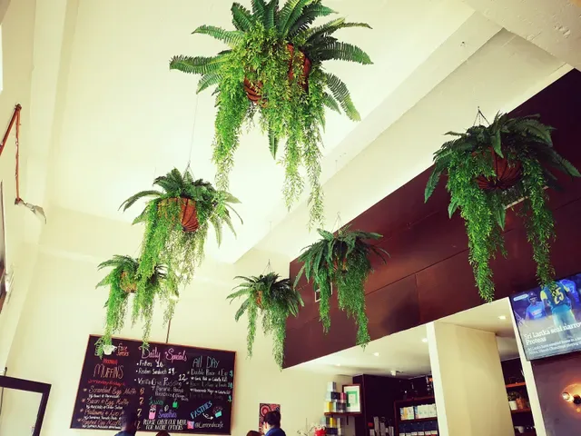 Le Monde Cafe