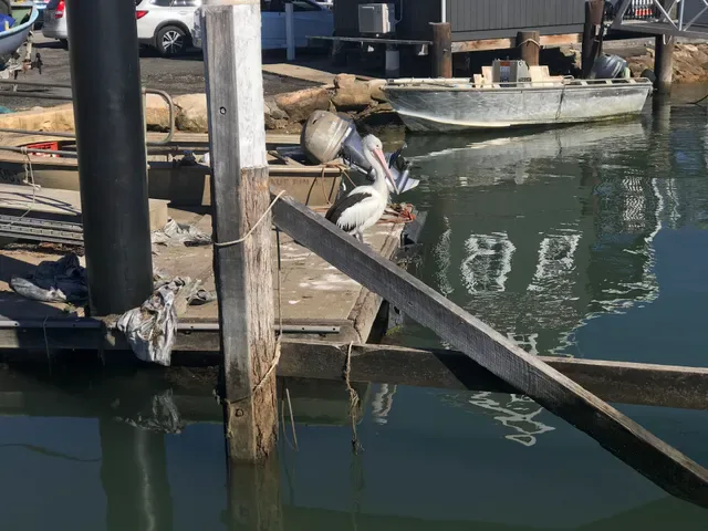 Life Boat Seafoods