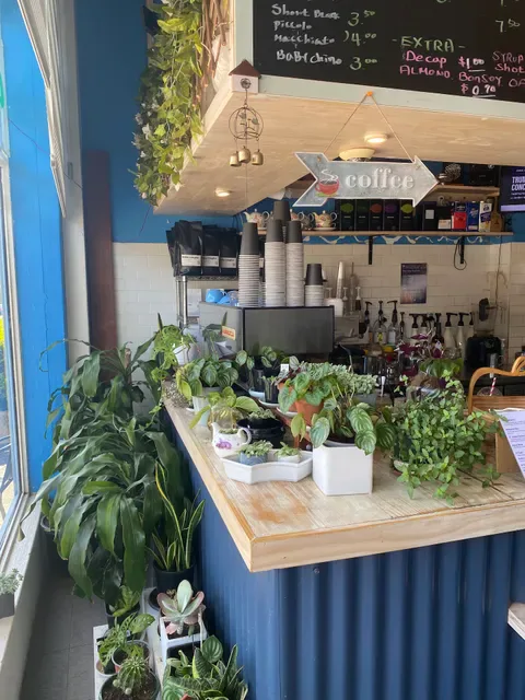 Little Couple Cafe Campsie