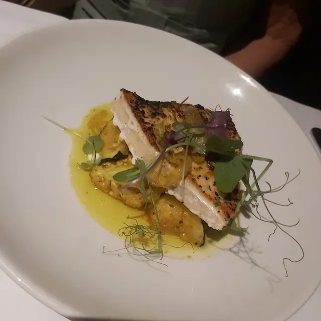 Lively Catch