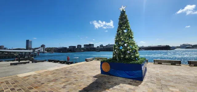 Lotus Barangaroo