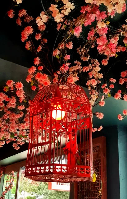 Mamasaan Bondi - Japanese Cuisine Restaurant and Bar in Bondi Beach