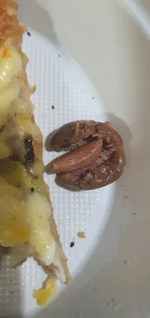Mamma Della Pizza