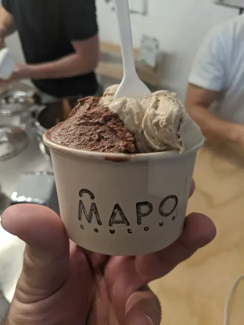 Mapo Newtown