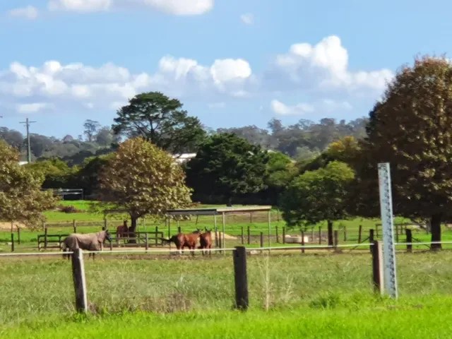 Menangle Country Club