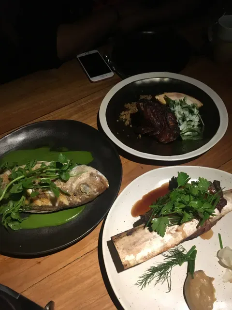 Mjølner Sydney