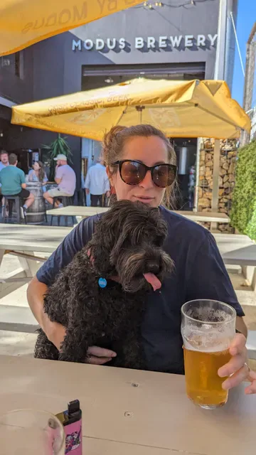 Modus Brewing