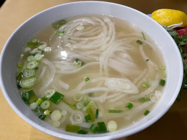 Noodle Junction