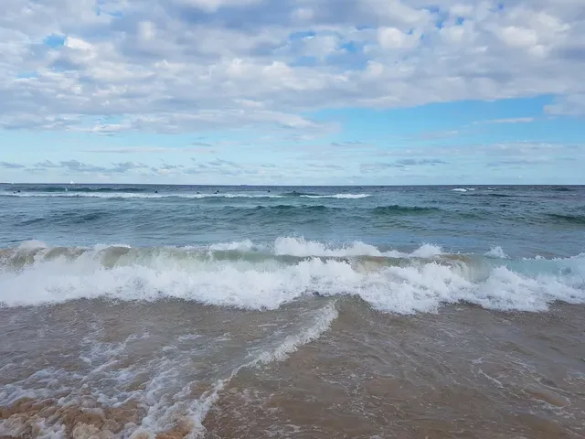 Oporto Bondi