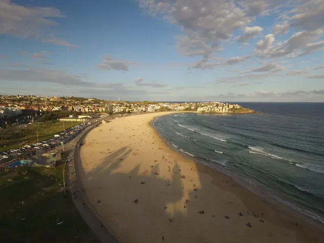 Oporto Bondi
