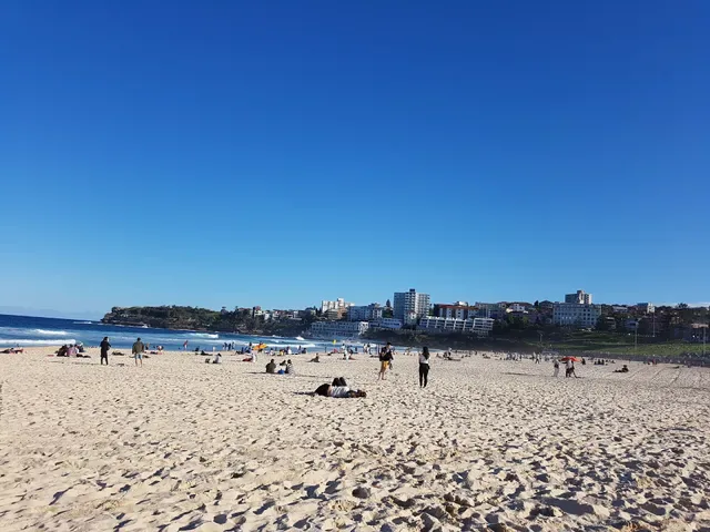 Oporto Bondi