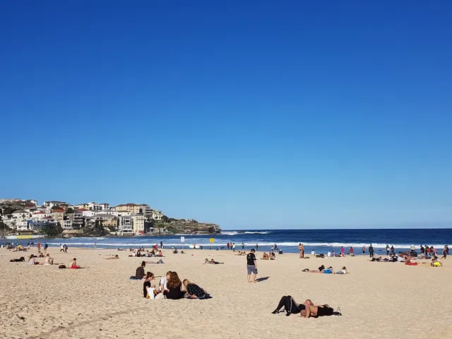 Oporto Bondi