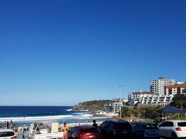 Oporto Bondi