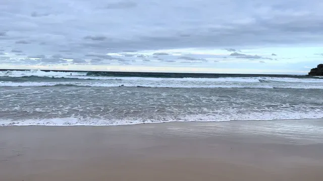 Oporto Bondi