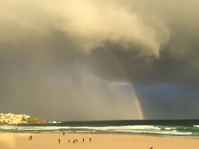 Oporto Bondi