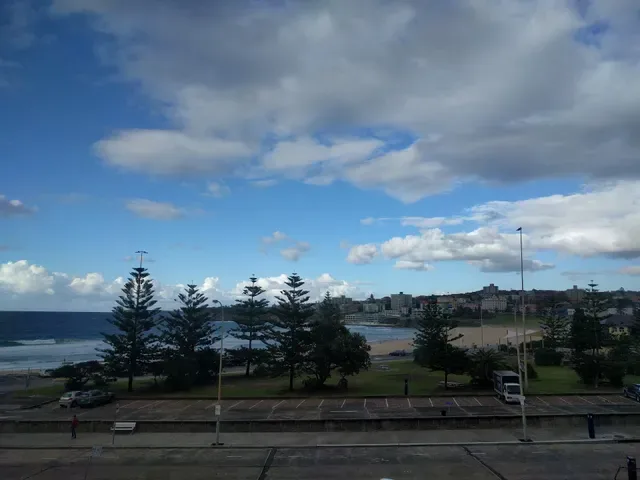 Oporto Bondi