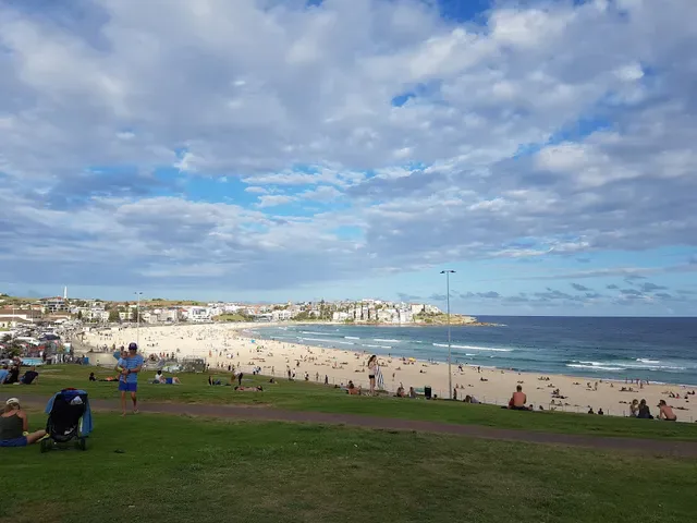 Oporto Bondi