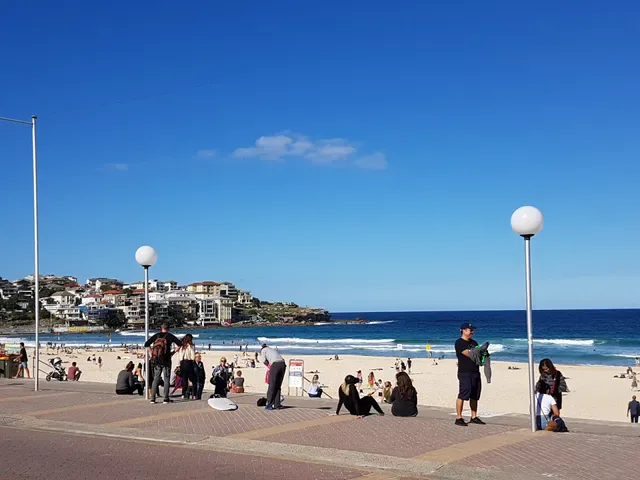 Oporto Bondi