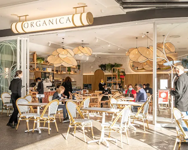 Organica - Cafe in Leichhardt