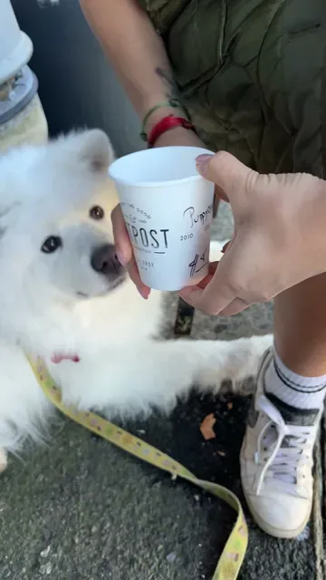 Outpost Espresso
